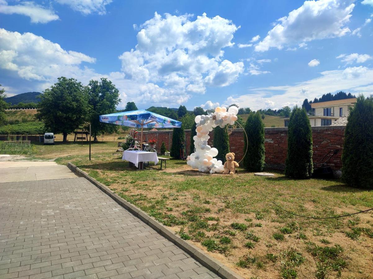 Casa Ideal Syhot Marmaroski Zewnętrze zdjęcie